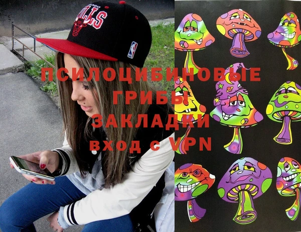 прущие грибы Заволжск