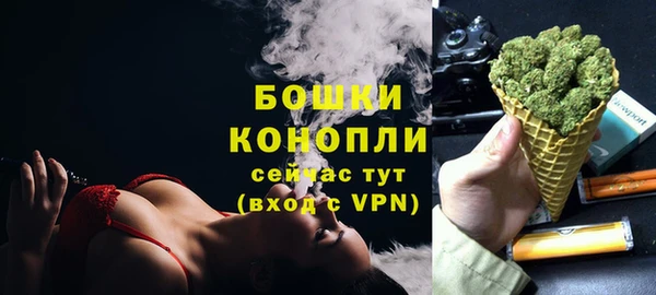 прущие грибы Заволжск