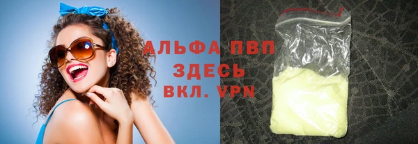 прущие грибы Заволжск