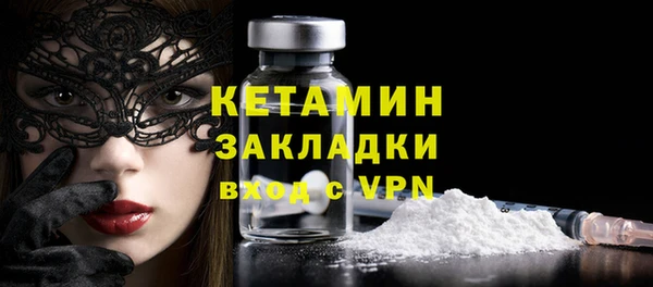 прущие грибы Заволжск