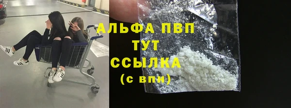 прущие грибы Заволжск