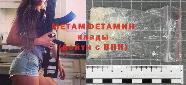 прущие грибы Заволжск