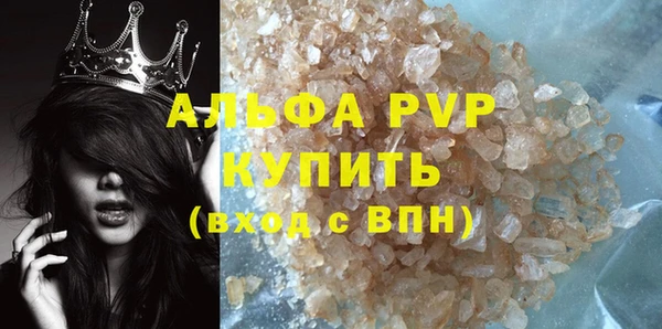 прущие грибы Заволжск