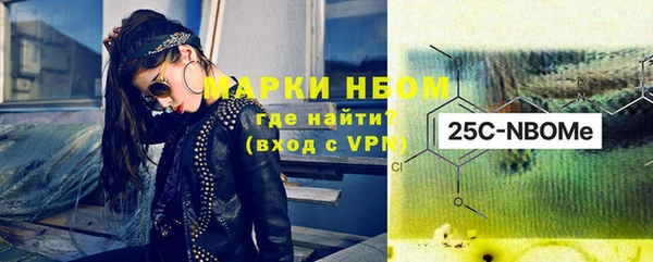 прущие грибы Заволжск