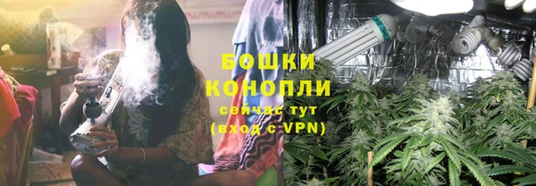 прущие грибы Заволжск