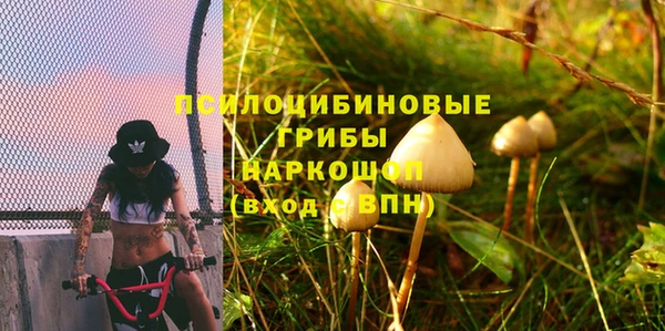 первитин Заволжье