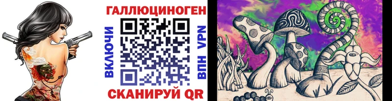 Купить где  Минеральные Воды  Псилоцибиновые грибы Psilocybine cubensis 
